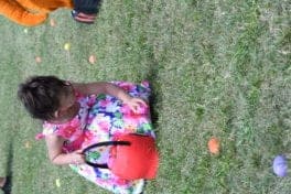 DSC_0448 (0)